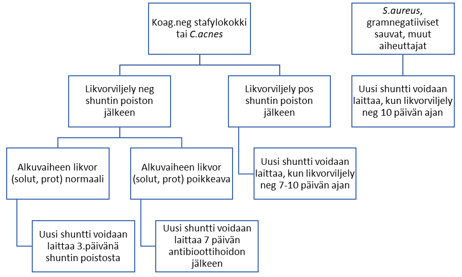 Kaavio uuden shuntin asennuksen ajankohdasta infektioon yhteydessä