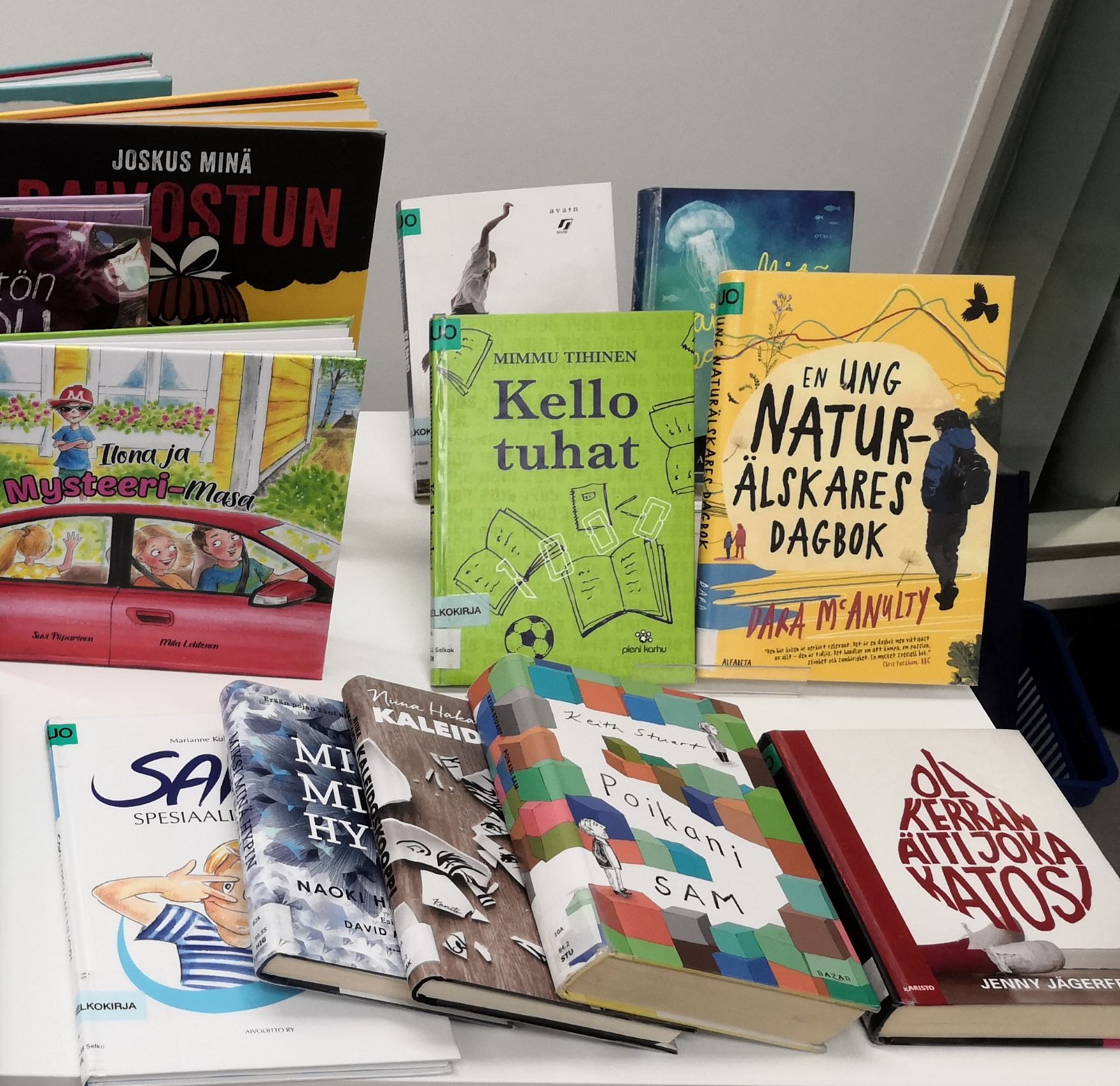 Nepsy-aiheisia kirjoja pöydällä.